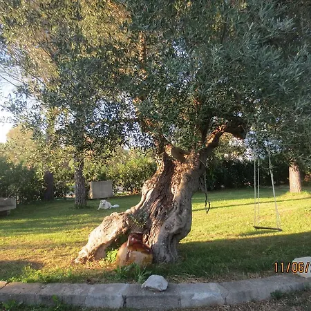 Landsted La Piccola 